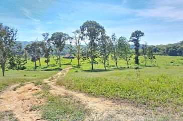 RM150K PER ACRE| Agriculture Land Kerling Hulu Selangor