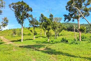 RM150K PER ACRE| Agriculture Land Kerling Hulu Selangor