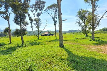 RM150K PER ACRE| Agriculture Land Kerling Hulu Selangor