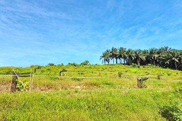 RM150K PER ACRE| Agriculture Land Kerling Hulu Selangor