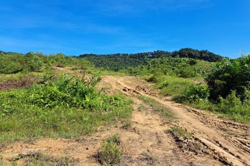 RM150K PER ACRE| Agriculture Land Kerling Hulu Selangor