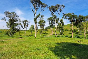 RM150K PER ACRE| Agriculture Land Kerling Hulu Selangor