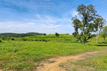 RM150K PER ACRE| Agriculture Land Kerling Hulu Selangor