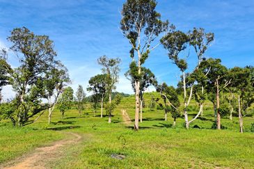 RM150K PER ACRE| Agriculture Land Kerling Hulu Selangor