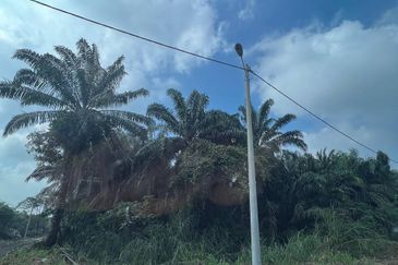 Tanah di Kampung Dengkil, Sepang Untuk Dijual