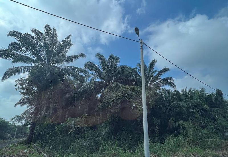 Tanah di Kampung Dengkil, Sepang Untuk Dijual