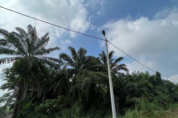 Tanah di Kampung Dengkil, Sepang Untuk Dijual