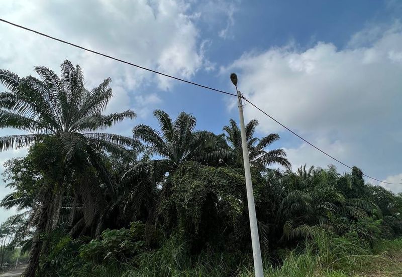 Tanah di Kampung Dengkil, Sepang Untuk Dijual