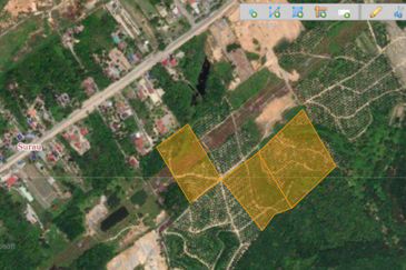 Tanah Pertanian (Kelapa Sawit) Jalan Karak Mentakab Bentong Pahang Untuk Dijual