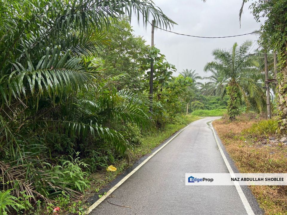 BUKAN KAWASAN BANJIR| Tanah Lot Kampung Temenin Baru Kota Tinggi Untuk Dijual, Johor, Kota Tinggi