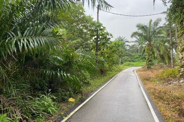 BUKAN KAWASAN BANJIR| Tanah Lot Kampung Temenin Baru Kota Tinggi Untuk Dijual