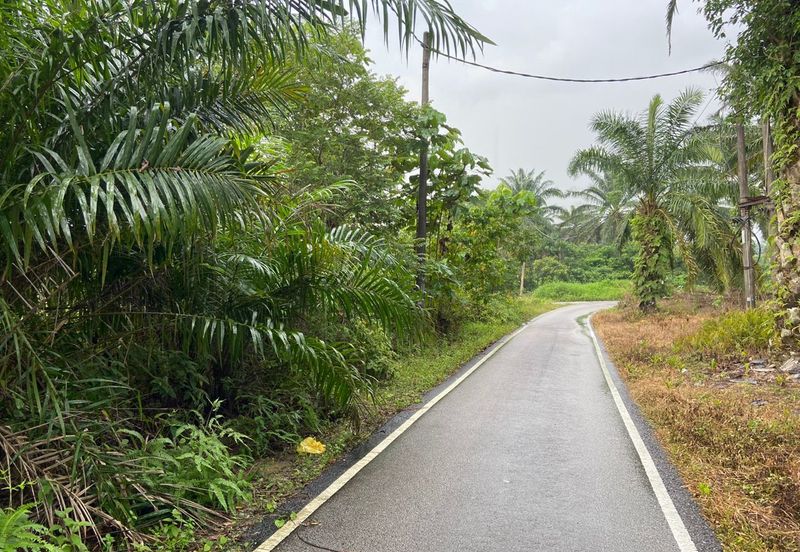 BUKAN KAWASAN BANJIR| Tanah Lot Kampung Temenin Baru Kota Tinggi Untuk Dijual
