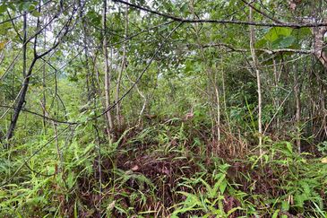 BUKAN KAWASAN BANJIR| Tanah Lot Kampung Temenin Baru Kota Tinggi Untuk Dijual
