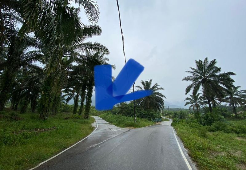 BUKAN KAWASAN BANJIR| Tanah Lot Kampung Temenin Baru Kota Tinggi Untuk Dijual