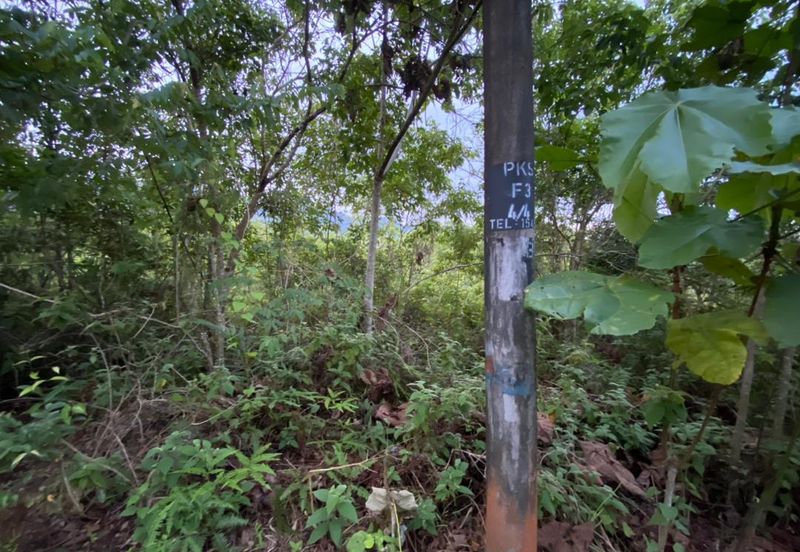 BUKAN KAWASAN BANJIR| Tanah Lot Kampung Temenin Baru Kota Tinggi Untuk Dijual