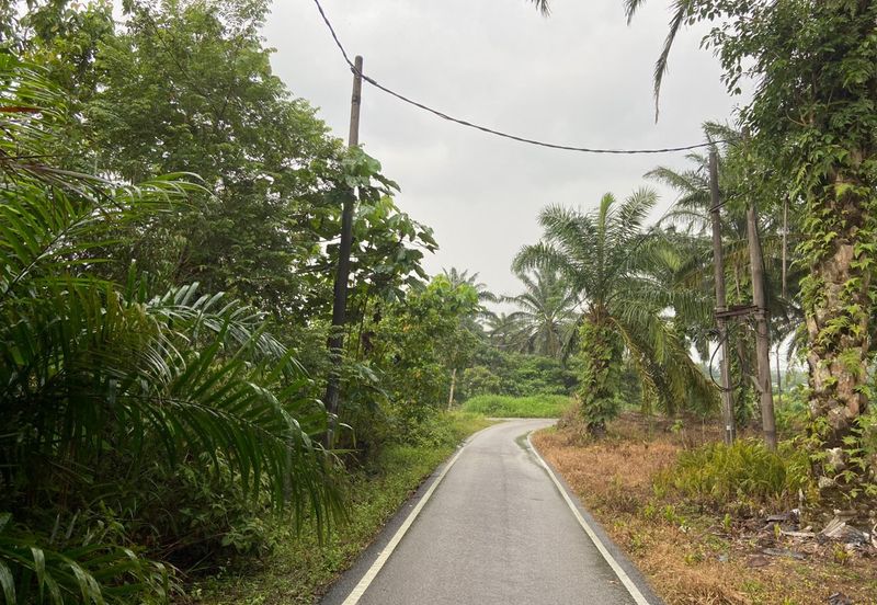 BUKAN KAWASAN BANJIR| Tanah Lot Kampung Temenin Baru Kota Tinggi Untuk Dijual