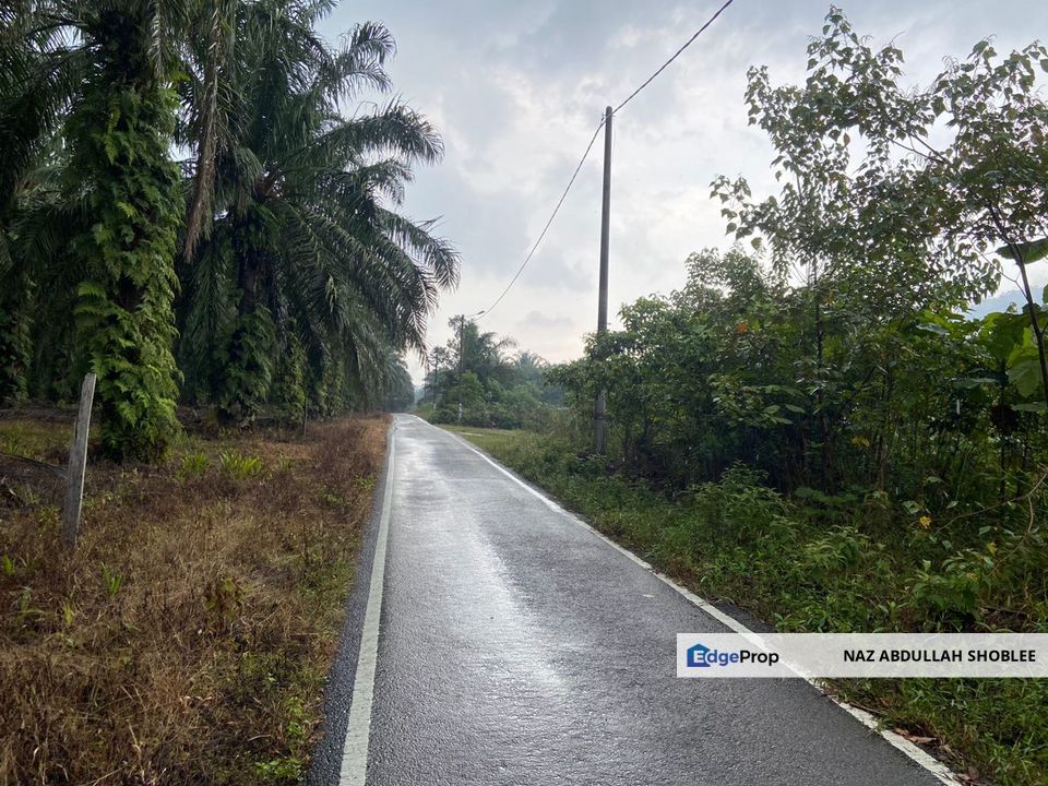 BUKAN KAWASAN BANJIR| Tanah Lot Kampung Temenin Baru Kota Tinggi Untuk Dijual, Johor, Kota Tinggi