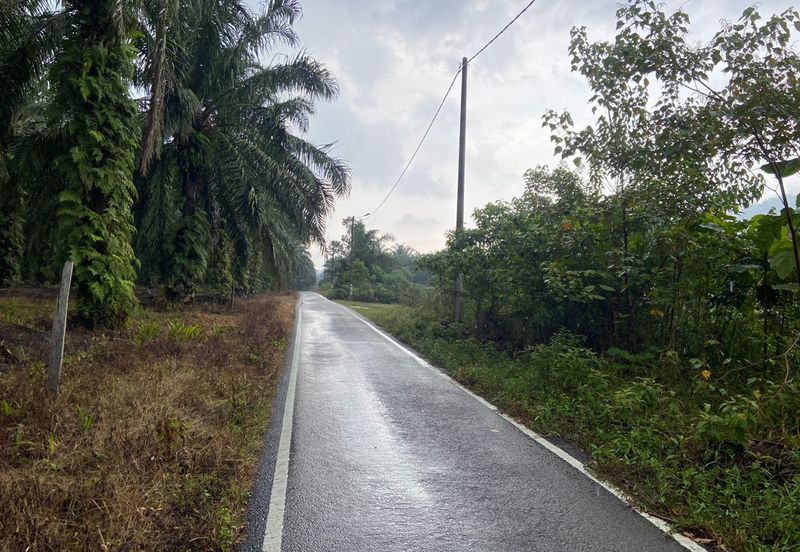 BUKAN KAWASAN BANJIR| Tanah Lot Kampung Temenin Baru Kota Tinggi Untuk Dijual