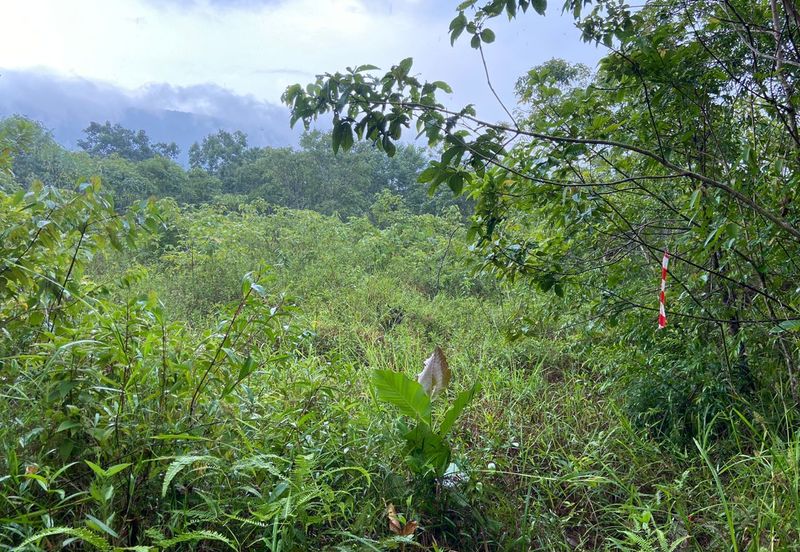 BUKAN KAWASAN BANJIR| Tanah Lot Kampung Temenin Baru Kota Tinggi Untuk Dijual