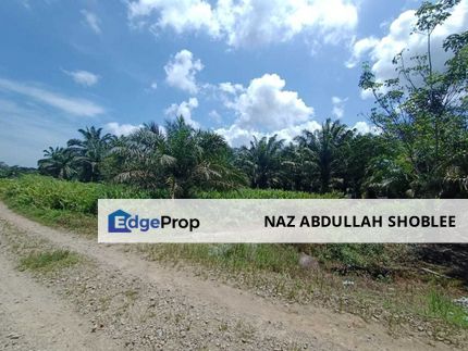 TANAH BESAR| DEKAT KUKUP Tanah Pertanian SAWIT, Air Masin, Penerok, Pontian, Johor, Pontian