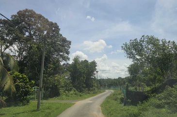 MALAY RESERVED| Agriculture Land Kg. Semerbok Rembau Negeri Sembilan