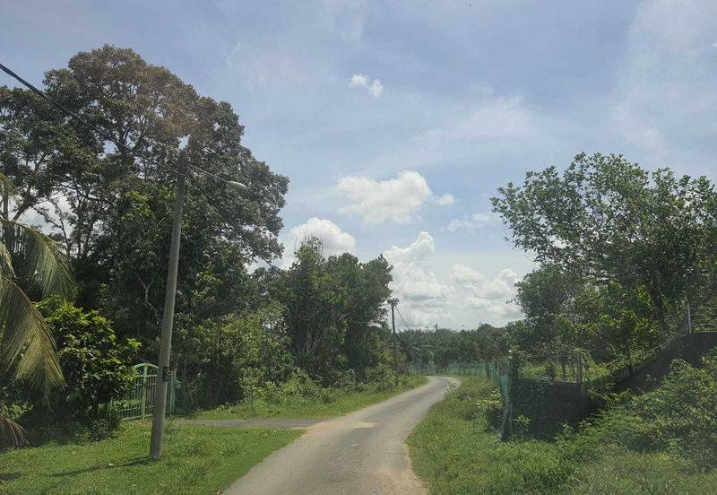 MALAY RESERVED| Agriculture Land Kg. Semerbok Rembau Negeri Sembilan