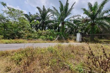 MALAY RESERVED| Agriculture Land Kg. Semerbok Rembau Negeri Sembilan