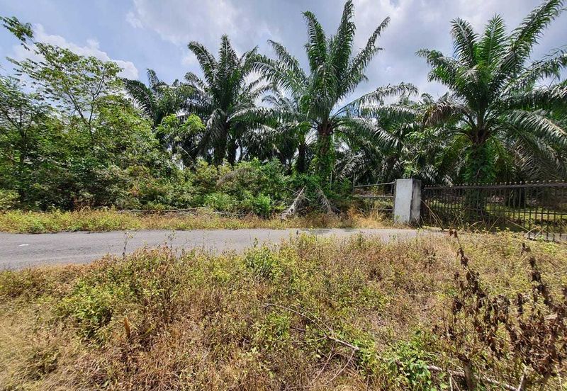 MALAY RESERVED| Agriculture Land Kg. Semerbok Rembau Negeri Sembilan