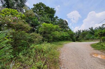MALAY RESERVED| Agriculture Land Kg. Semerbok Rembau Negeri Sembilan