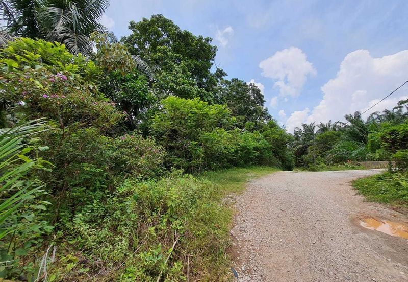 MALAY RESERVED| Agriculture Land Kg. Semerbok Rembau Negeri Sembilan