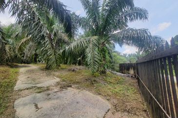 MALAY RESERVED| Agriculture Land Kg. Semerbok Rembau Negeri Sembilan