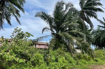 INDUSTRIAL ZONING| Agriculture Land Bukit Changgang Banting