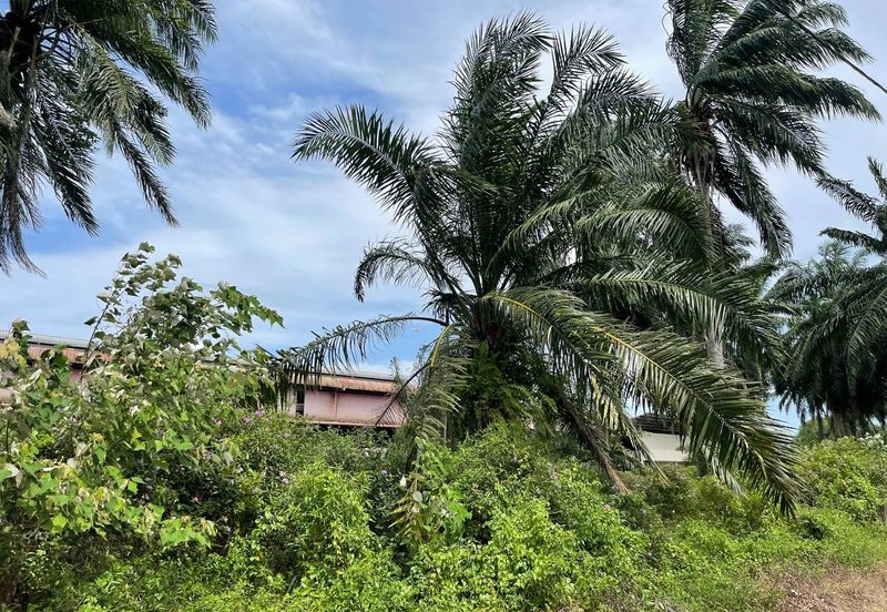 INDUSTRIAL ZONING| Agriculture Land Bukit Changgang Banting