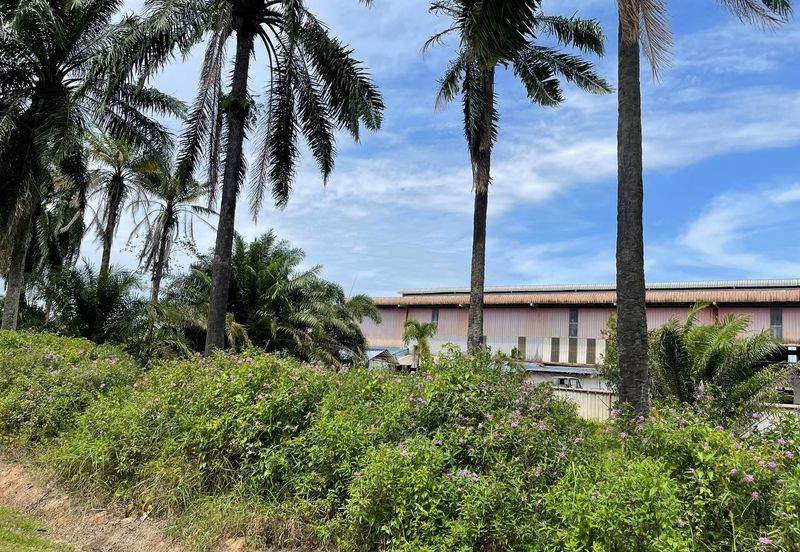 INDUSTRIAL ZONING| Agriculture Land Bukit Changgang Banting