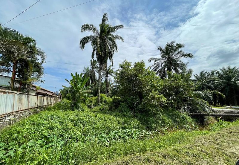 INDUSTRIAL ZONING| Agriculture Land Bukit Changgang Banting