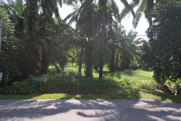 Seksyen 29 @ Kampung Lombong