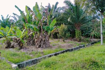 FACING MAINROAD| Agriculture Land Sungai Mati Ledang Johor For Sale
