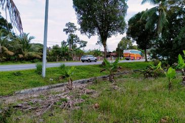 FACING MAINROAD| Agriculture Land Sungai Mati Ledang Johor For Sale