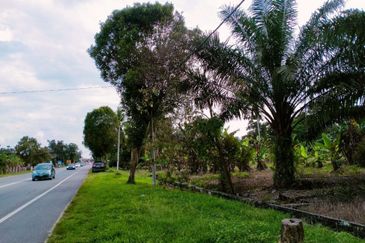 FACING MAINROAD| Agriculture Land Sungai Mati Ledang Johor For Sale