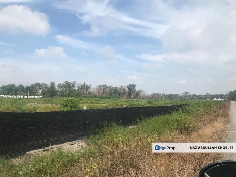 FLAT LAND| Industrial Land Kampung Pulau Serai Pekan Pahang For Sale, Pahang, Pekan