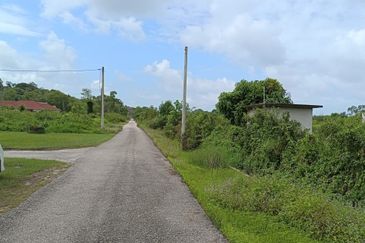 FLAT LAND| Industrial Land Kampung Pulau Serai Pekan Pahang For Sale