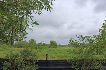 FLAT LAND| Industrial Land Kampung Pulau Serai Pekan Pahang For Sale