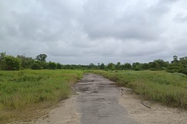 FLAT LAND| Industrial Land Kampung Pulau Serai Pekan Pahang For Sale