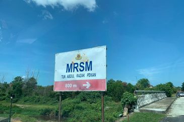 FLAT LAND| Industrial Land Kampung Pulau Serai Pekan Pahang For Sale