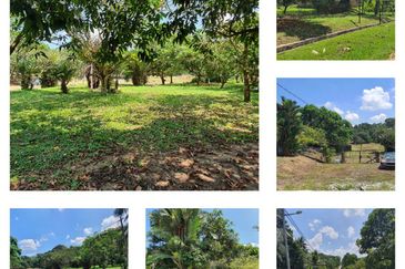 ROAD FRONTAGE| 2 Parcels of Agriculture Land at Kampong Sungai Pelong Shah Alam For Sale