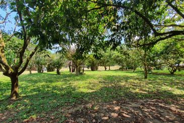 ROAD FRONTAGE| 2 Parcels of Agriculture Land at Kampong Sungai Pelong Shah Alam For Sale