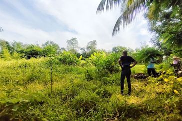 ZONING RESIDENTIAL| Agriculture Land Dusun Tua Hulu Langat Untuk Dijual