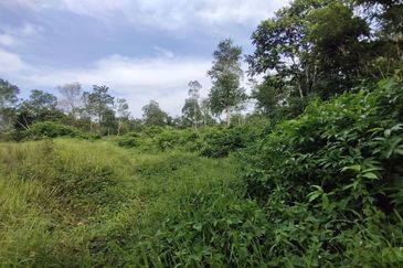 ZONING RESIDENTIAL| Agriculture Land Dusun Tua Hulu Langat Untuk Dijual