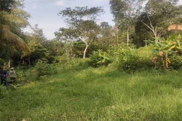 ZONING RESIDENTIAL| Agriculture Land Dusun Tua Hulu Langat Untuk Dijual