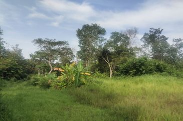 ZONING RESIDENTIAL| Agriculture Land Dusun Tua Hulu Langat Untuk Dijual